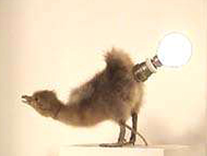 chick-lamp.jpg